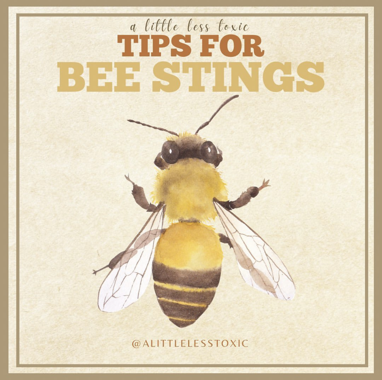 ALLT Tips for Bee Stings